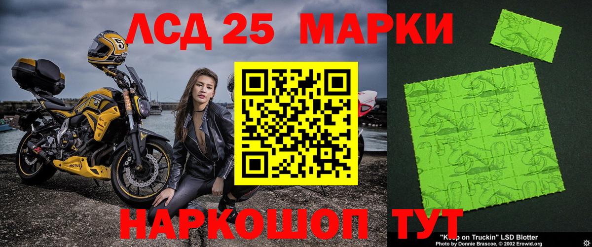 A-PVP Димитровград