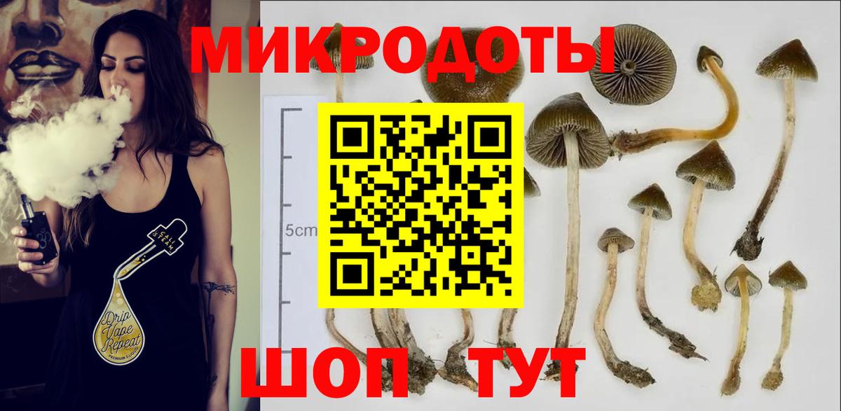 Галлюциногенные грибы MAGIC MUSHROOMS  Вход с VPN  Псилоцибиновые грибы GOLDEN TEACHER  Димитровград 