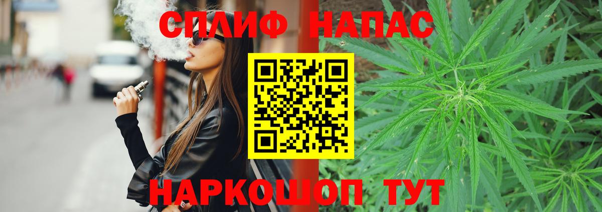 Каннабис планчик Димитровград